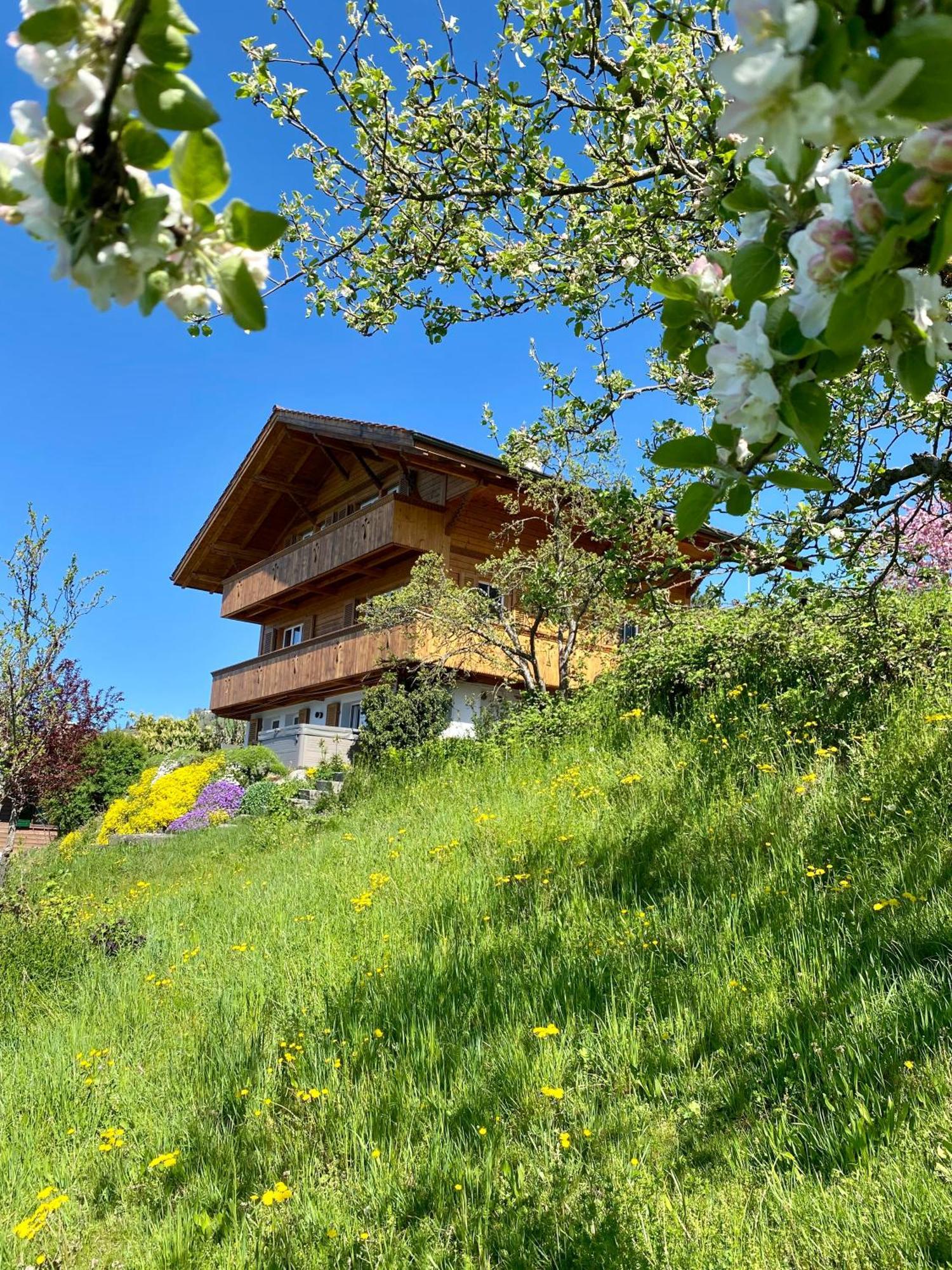 Chalet Egglen "Typical Swiss House, Best Views, Private Jacuzzi" Sigriswil Esterno foto