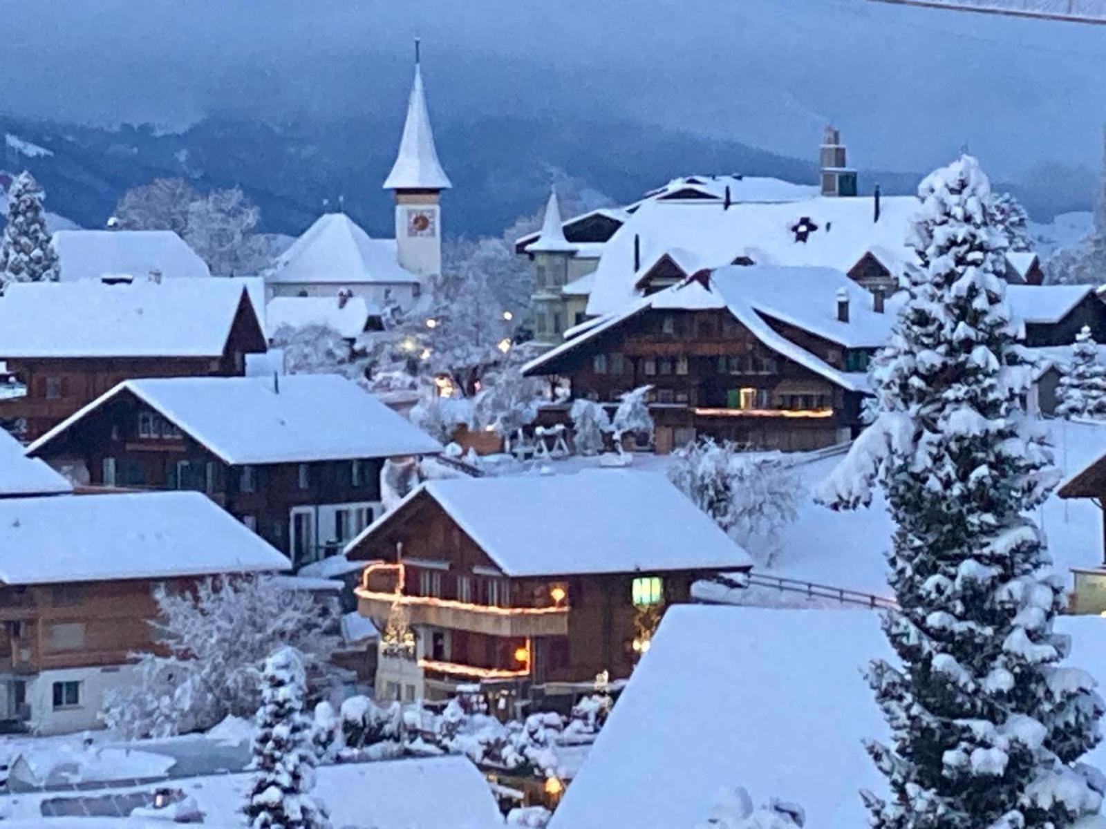 Chalet Egglen "Typical Swiss House, Best Views, Private Jacuzzi" Sigriswil Esterno foto