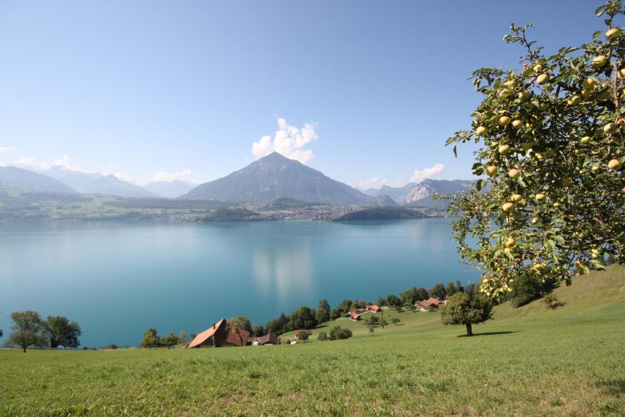 Chalet Egglen "Typical Swiss House, Best Views, Private Jacuzzi" Sigriswil Esterno foto
