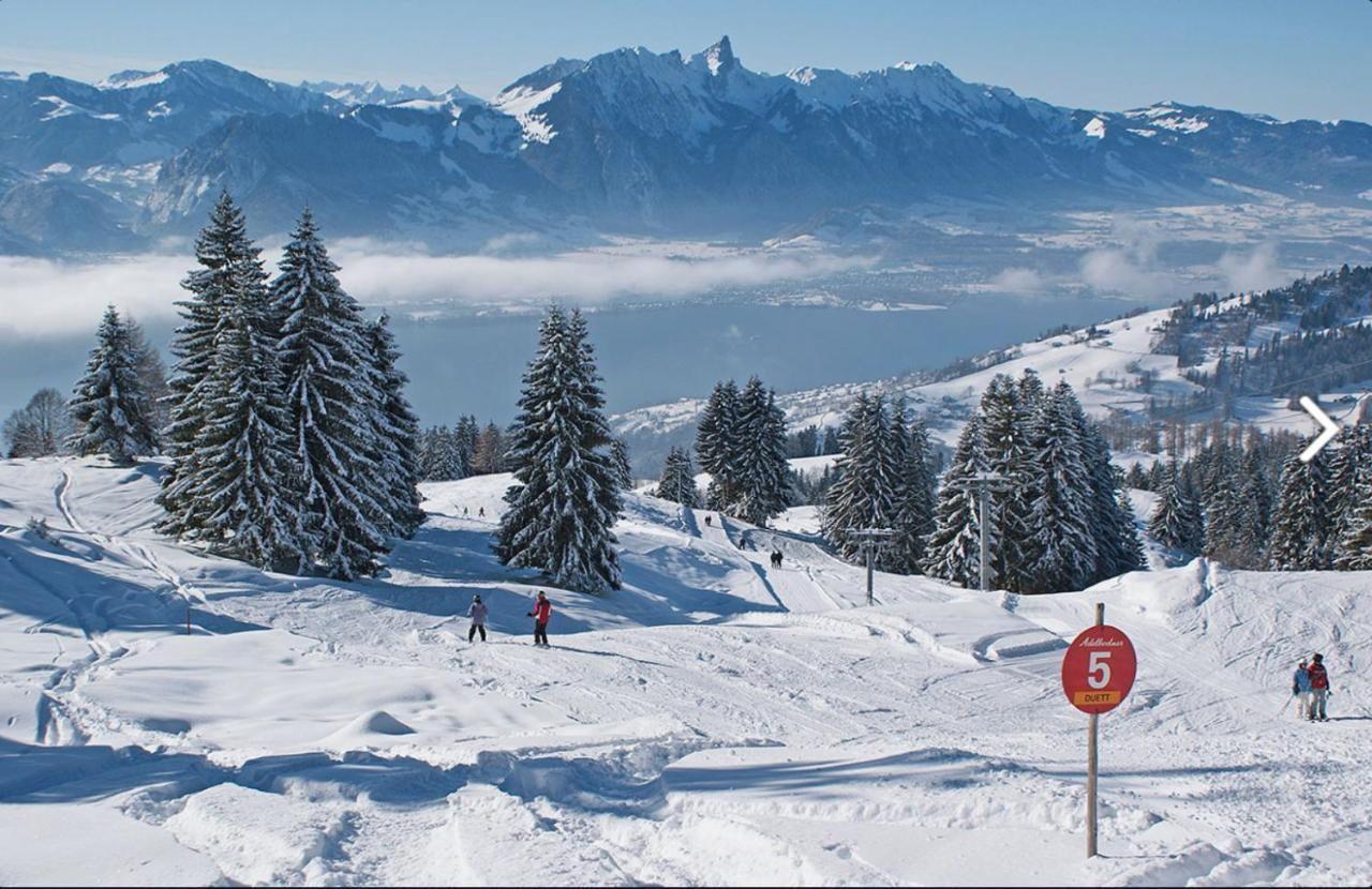 Chalet Egglen "Typical Swiss House, Best Views, Private Jacuzzi" Sigriswil Esterno foto