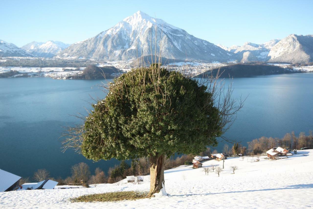 Chalet Egglen "Typical Swiss House, Best Views, Private Jacuzzi" Sigriswil Esterno foto