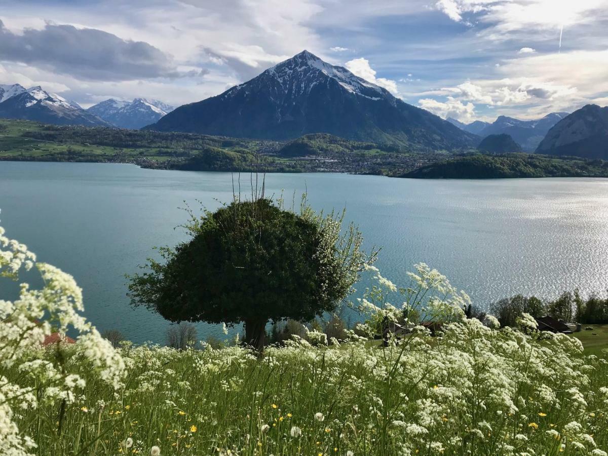 Chalet Egglen "Typical Swiss House, Best Views, Private Jacuzzi" Sigriswil Esterno foto